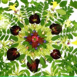 clara94685820's profile picture. Habitante del planeta tierra. Vida sostenible. 

Aquí y Ahora.