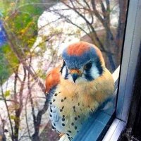 Jorge (@jorge52153909) 's Twitter Profile