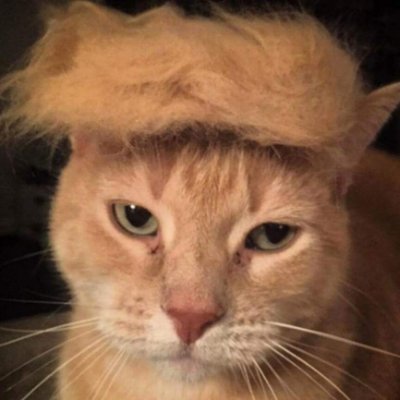 🇺🇲 🇺🇸 🇺🇸 Navy-man Lawman Oilman 🇺🇸 🇺🇸 🇺🇸
