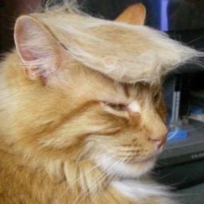 PutinsPussyCat Profile Picture