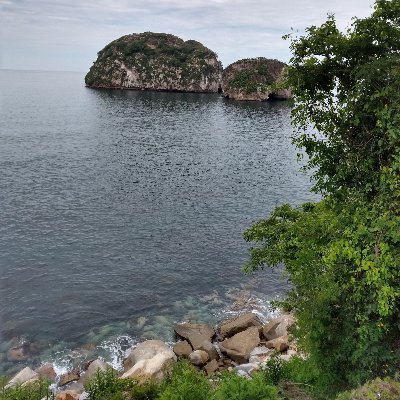 romeromaryt's profile picture. AMLOVER de 💖🍀