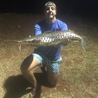 Caio Vidor Cassiano (@caiovidor) 's Twitter Profile