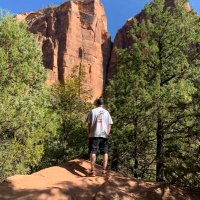 jim (@natifanjim) 's Twitter Profile