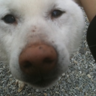 lay0831's profile picture. 2021年よりFXの勉強始めた兼業トレーダー。スキャルピング～デイトレ。TwitterとYoutubeで日々勉強中。BBオンリーだったけど最近は水平線とチャネルも研究。まだまだ学ぶことばかり。少しづつ学んだことをアウトプットしたい。前日の値動き理解と自分のエントリー根拠を言語化するためにTweet。2児母。