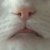 Flo (@flolevi93) Twitter profile photo Flo (@flolevi93) Twitter profile photo