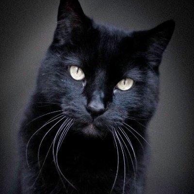 dinaburgskis's profile picture. Latvietis