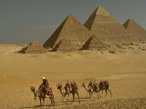 i,m male===== [+18] ahmedpc57
   only [ 18+]  WARNING