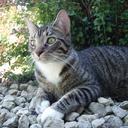 Melanie Barry - @Bierbitzch76 - Twitter