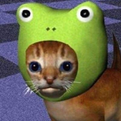 A2luvr's profile picture. professional idiot