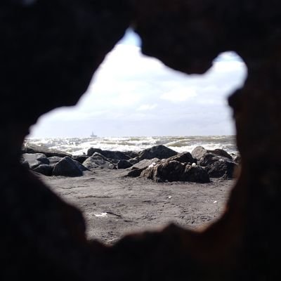 MoritzHelmli's profile picture. 