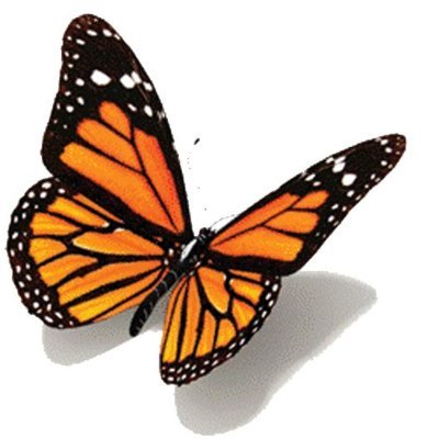 rampap's profile picture. 