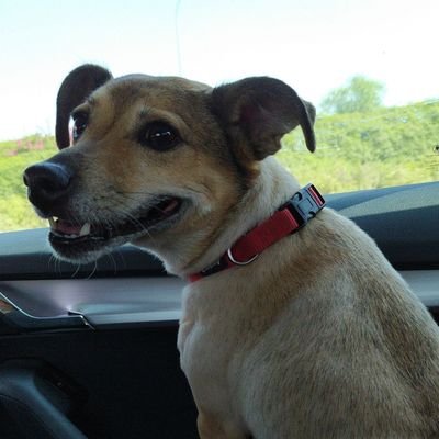 mCgfdHVcaCRy6Yu's profile picture. שחקן כדור מים לשעבר