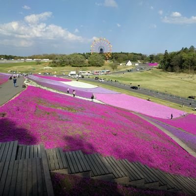 よろしくお願いします。