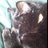 kei0415's profile image