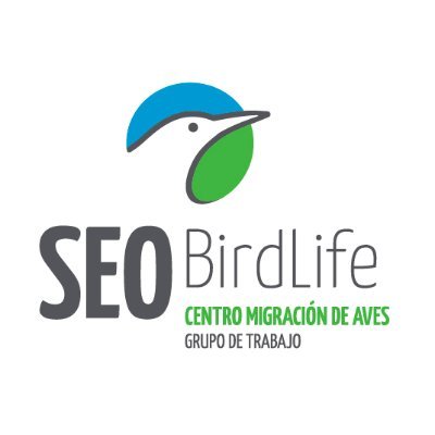 Centro de Migración de Aves de @SEO_BirdLife
Bird Migration Center of @SEO_BirdLife 
#Anillamiento #BirdRinging