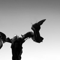 Sandra Le Couteur (@couteursandra) 's Twitter Profile