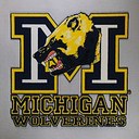 Ed Bach - @michignfn1 - Twitter