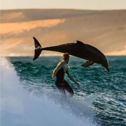 🦂Isabelle🌹🏄‍♀️ 🐬 ✈️ 🚁さんのプロフィール画像