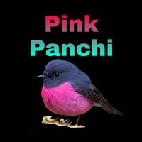 Pink Panchi(@PinkPanchi1) 's Twitter Profile Photo