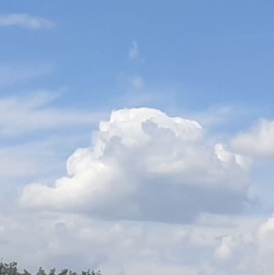 Anannさんのプロフィール画像