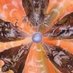 Nevilshute_MTG (@martinfsnielsen) Twitter profile photo Nevilshute_MTG (@martinfsnielsen) Twitter profile photo