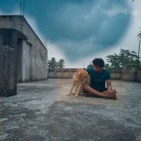 indrajit swain PHD in Datascience (@indrajeetswain) 's Twitter Profile