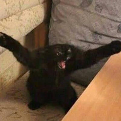 arandomasiandud's profile image
