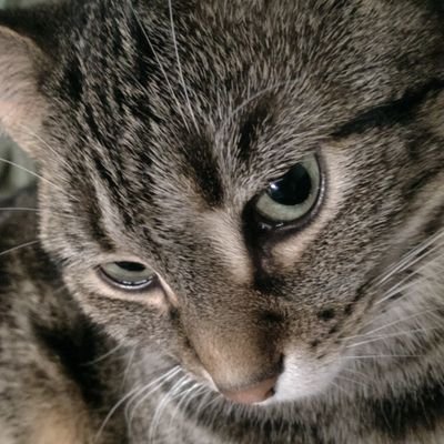 SharlieIsabelle's profile picture. @Kimberly-Martin-1025