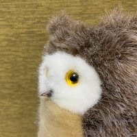 PE (@katoubudoutou) 's Twitter Profile Photo PE (@katoubudoutou) 's Twitter Profile Photo