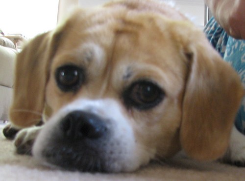 cyndimcan's profile picture. Average human trying to slow down and appreciate the day while being somewhat amazed that I am already 'this' old...