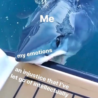 xhatger's profile picture. what it dooo