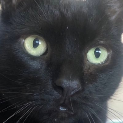 Mike65142120's profile picture. 