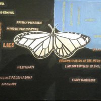 Steve Free the Butterflies(@FreetheButerfli) 's Twitter Profile Photo