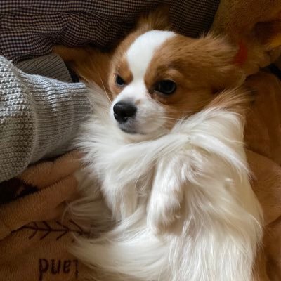 からかささんのプロフィール画像