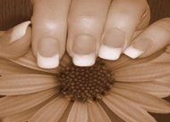 diamantnails's profile picture. Verzorgde handen met mooie en vakkundig verzorgde nagels zijn een 
belangrijk onderdeel van uw persoonlijkheid. Mooie nagels zijn bijna niet