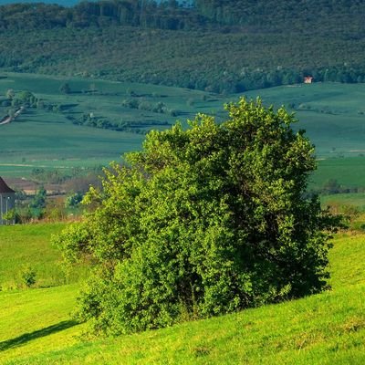 ceekei5's profile picture. 