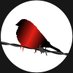 Twite Records (@twiterecs) Twitter profile photo Twite Records (@twiterecs) Twitter profile photo