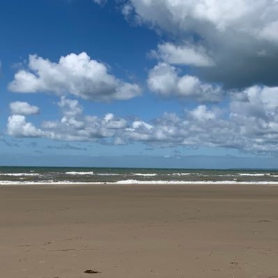 carker26's profile picture. 