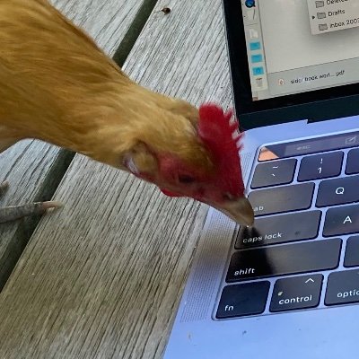 plotznik's profile picture. Victorianist, Le Guin lover, B-Sides editor at Public Books, co-host of Recall This Book and Novel Dialogue. Chicken owner.