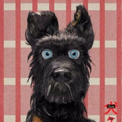 shnkr__'s profile picture. endless mirth