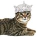 C:\Users\Alvaro (@alvaro168) Twitter profile photo C:\Users\Alvaro (@alvaro168) Twitter profile photo