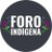 Foro_Indigena avatar
