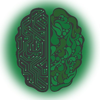 Studying computer science | Interests: society | environment protection | programming and games 👾