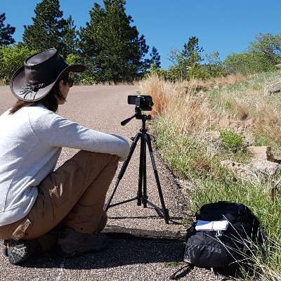 RomerodiazC's profile picture. Behavioral & Evolutionary Biologist. Animal Communication🦎🐦 Researcher @mncn_csic. 🇮🇨🇪🇸   @RomerodiazC@ecoevo.social🐘