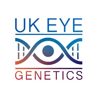 UK Eye Genetics Group represents all gene-based topics in the eye #Genetics #Genomics #Education #Research #InheritedEyeDisease #GeneTherapy #GeneticCounselling