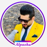 ๐ฎ๐ถ PASHA (@alpasha_1) 's Twitter Profile