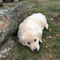 cinzinga (@cinzinga_) 's Twitter Profile