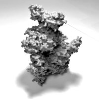 Bleichert Lab (@bleichertlab) 's Twitter Profile