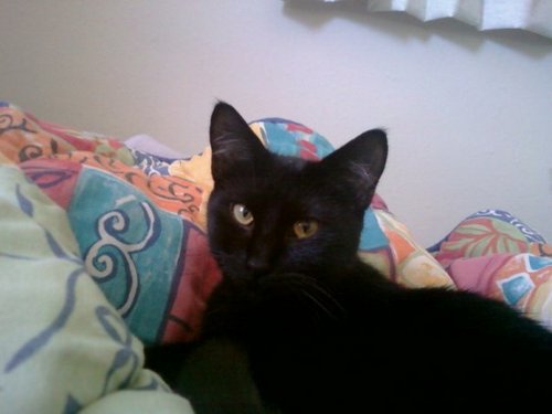 Therearentwords's profile picture. There really aren't words