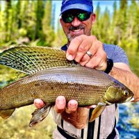 Kevin McHenry (@kevinmchenry11) 's Twitter Profile